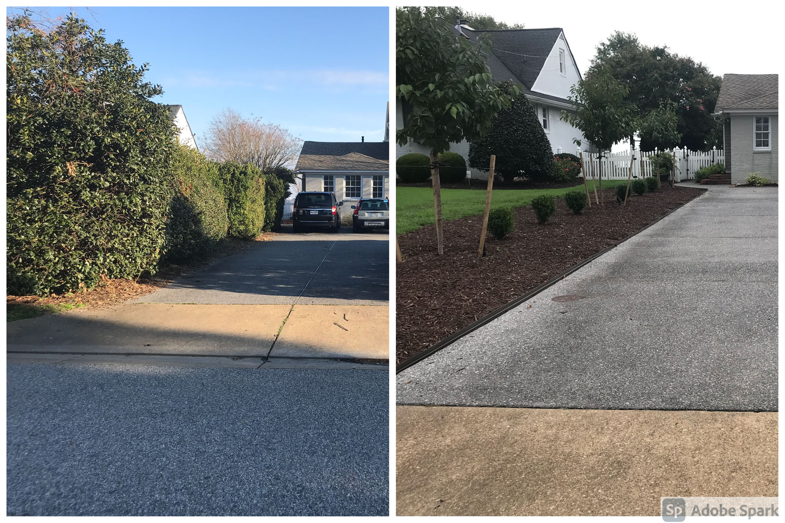 Front Yard Renovation and Plantings