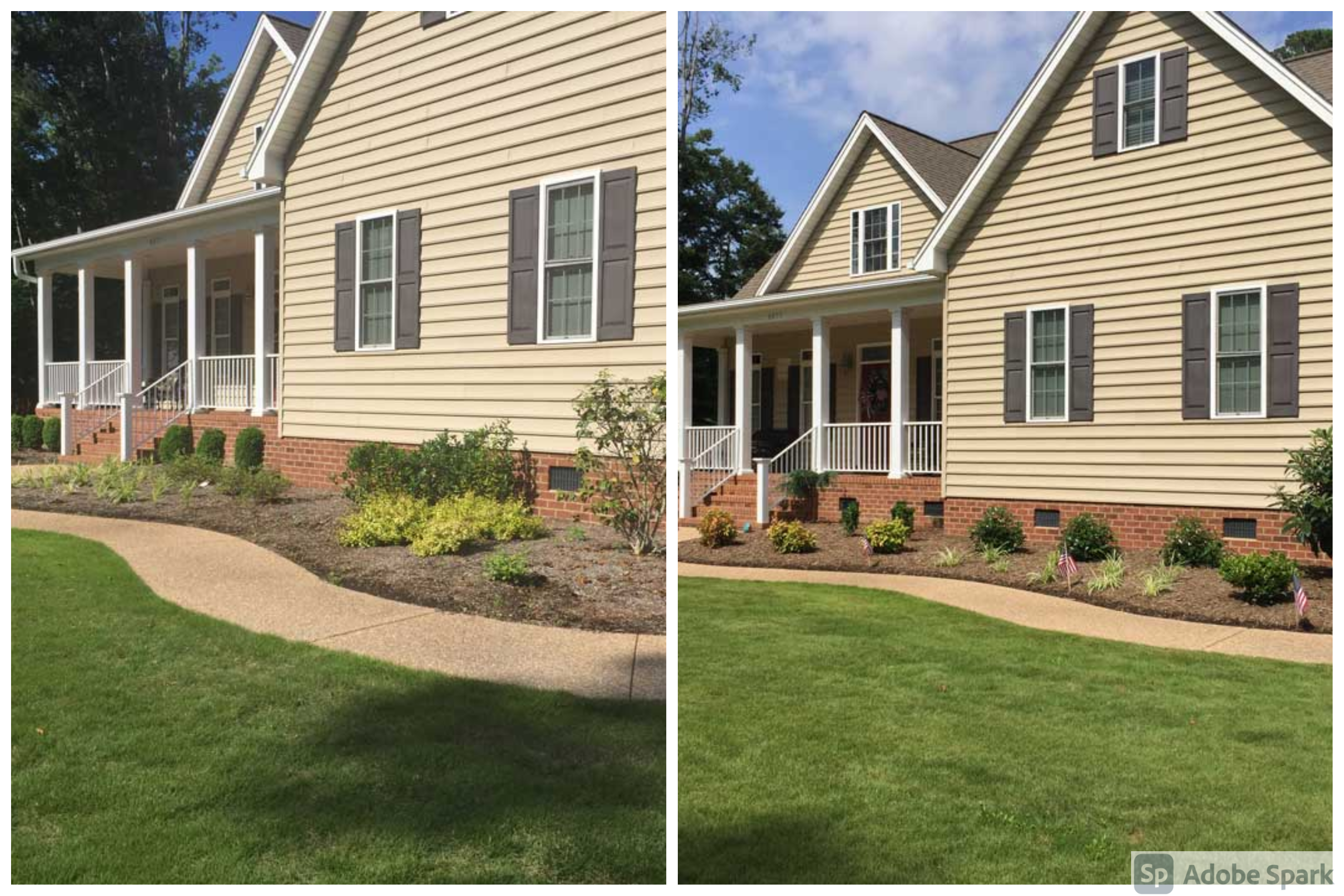 Foundation Planting