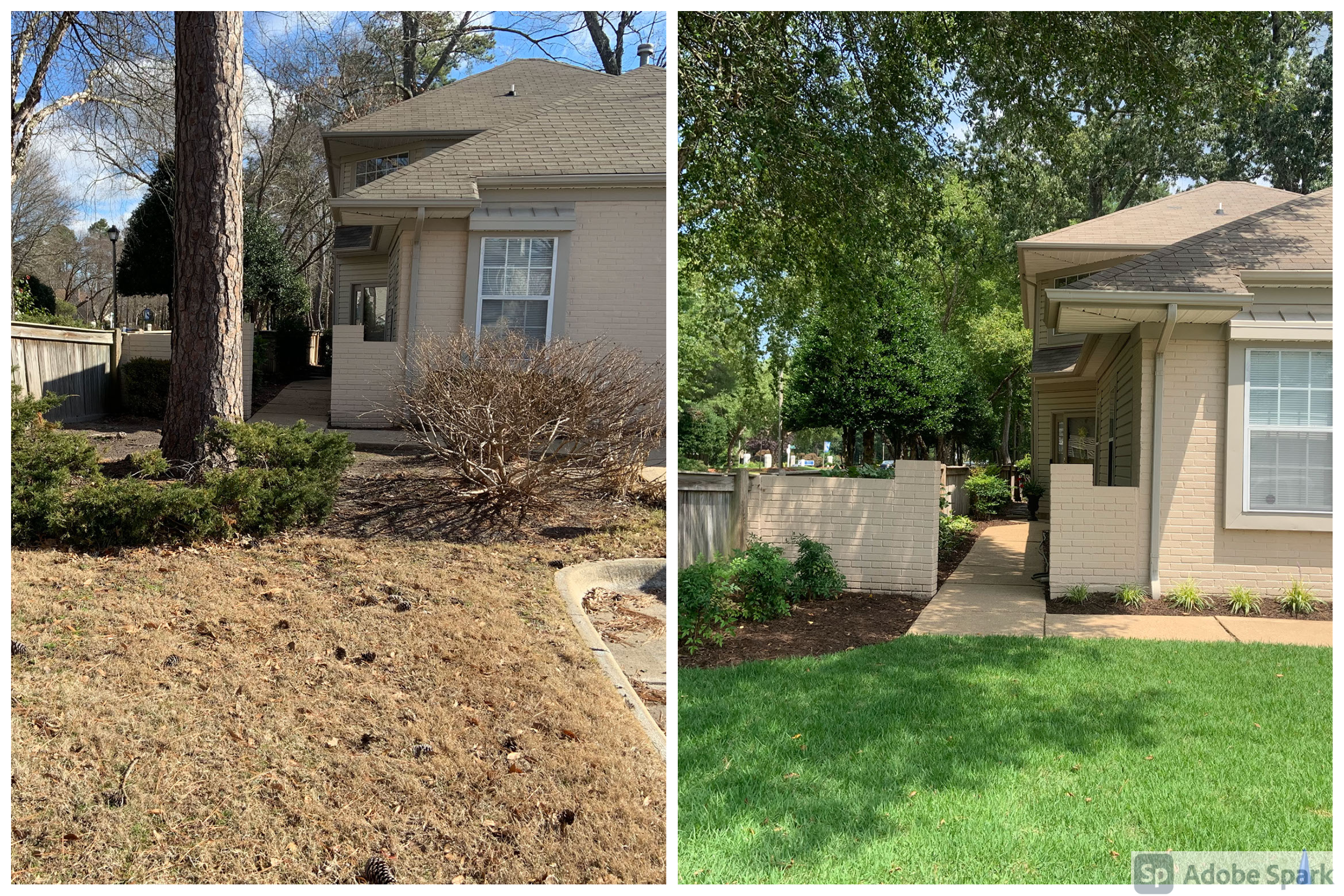 Lawn Renovation & Foundation Planting