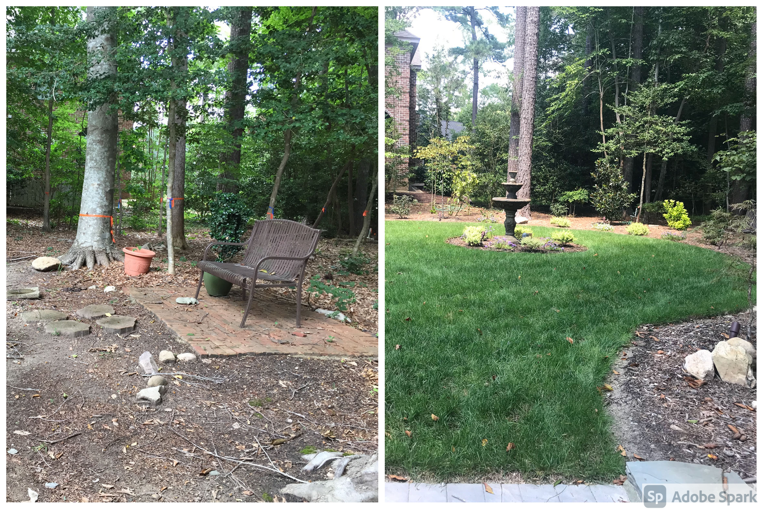 Lawn Renovation