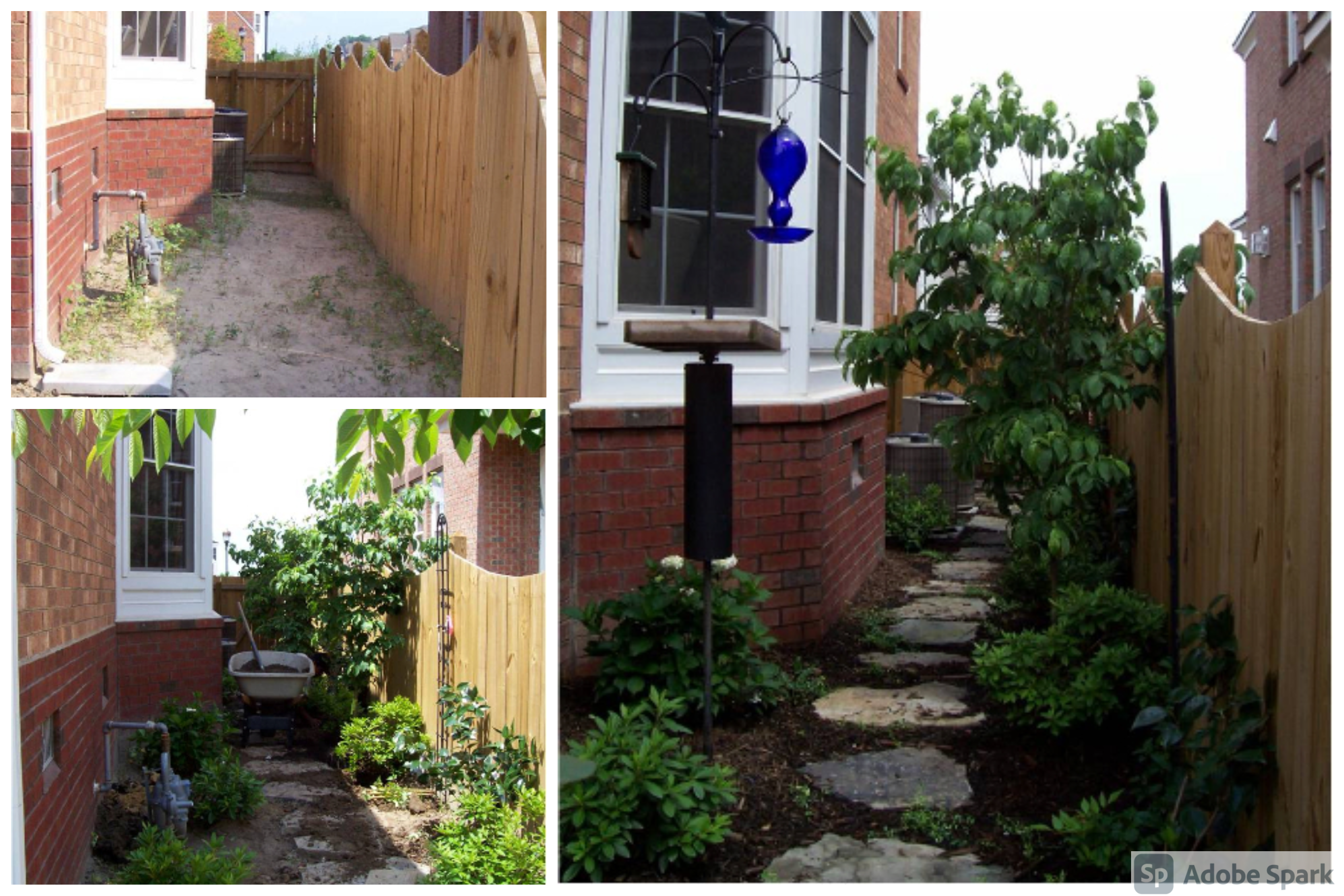 Landscape Design & Installation
