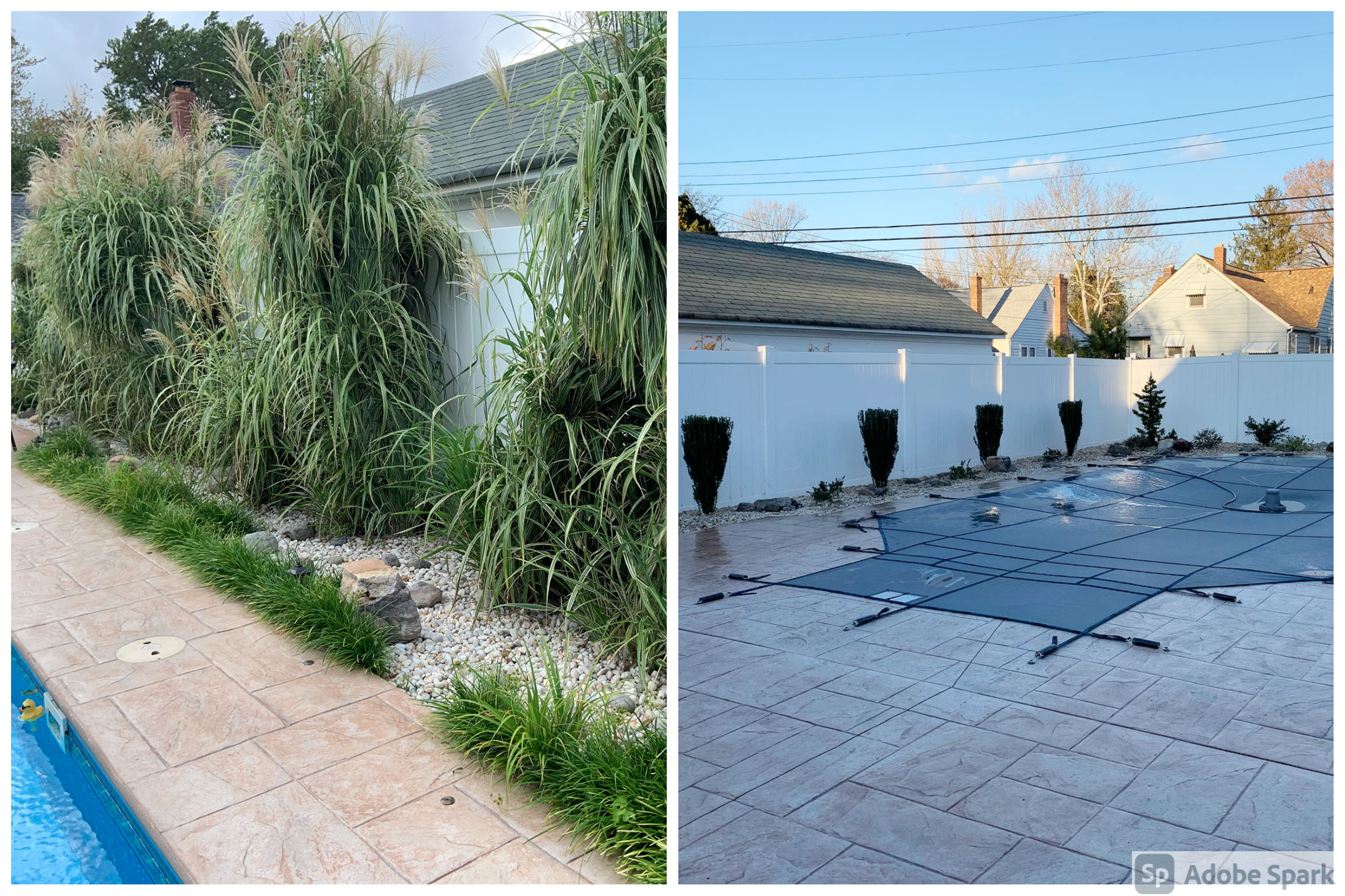 Foundation Planting