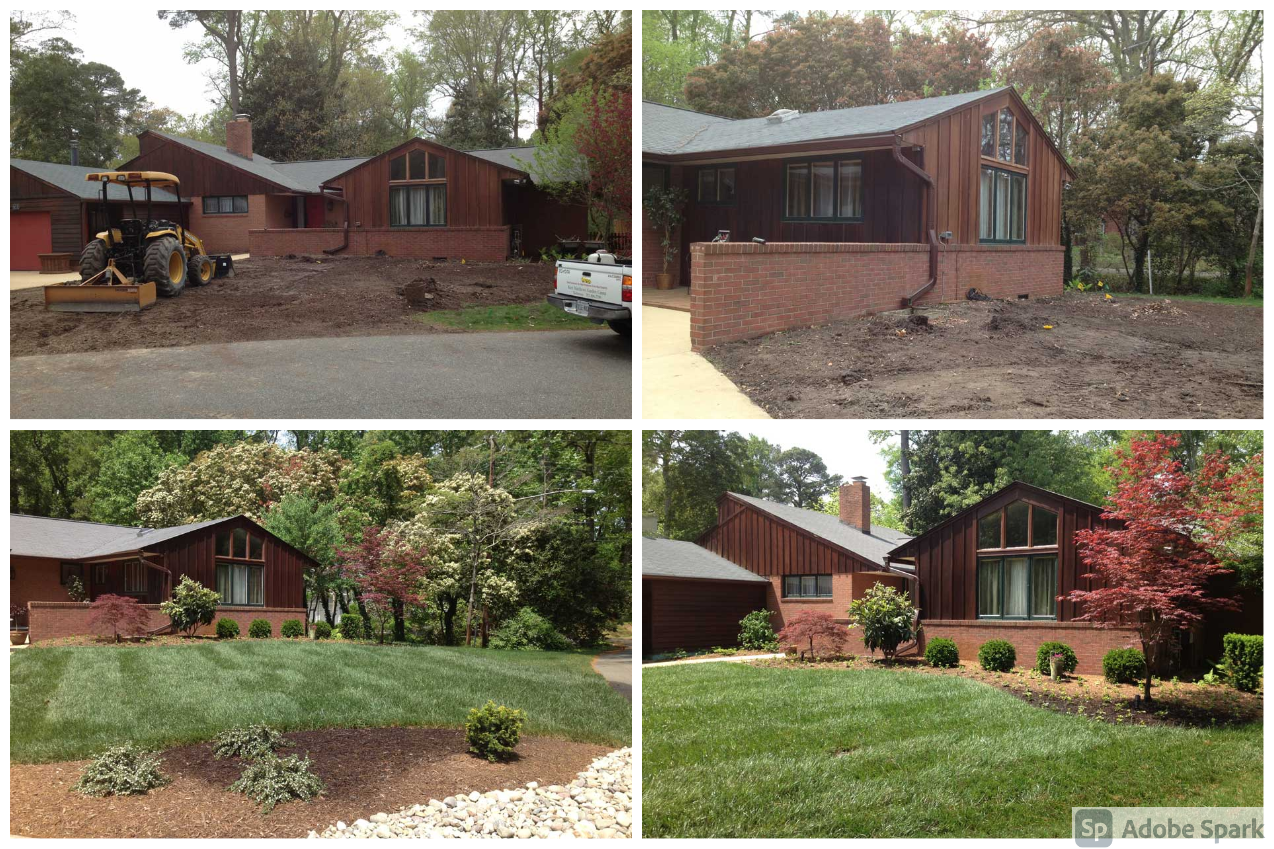 Yard Renovation