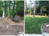 Lawn Renovation