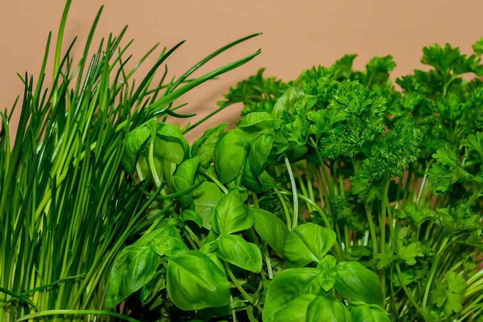 herb garden
