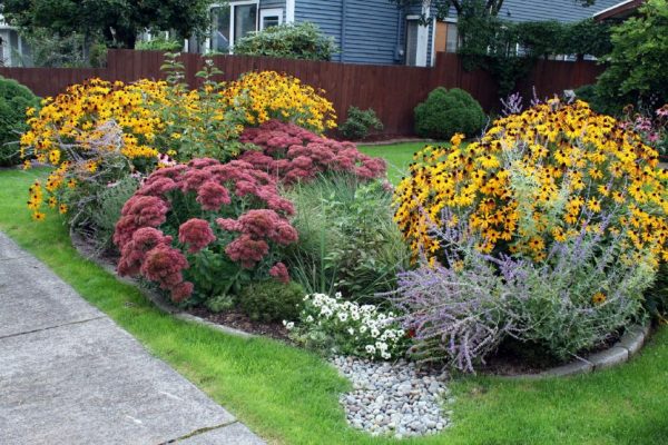 Rain Gardens